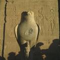 荷魯斯神殿門口的鷹神