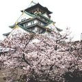 大阪城盛開的櫻花
