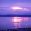 琵琶湖的日出