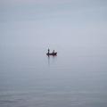 微冷的晨霧中，安靜地在琵琶湖中垂釣的小舟