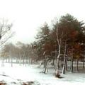 用新買相機拍的全景雪景