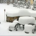 二月份的紐約大雪…