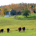 此農場號稱是攝影者的最愛，最常出現在北美的畫報、雜誌、月曆上，乃新英格蘭地區被人拍攝最多的第一名景。