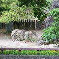 木柵動物園47