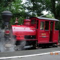 A 120 year-old steam locomotive