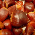Harvest of chestnuts