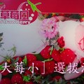 2008年12月桃園[西班牙台北]婚紗公司舉辦--戀戀草莓風--莓大莓小選拔活動,外孫女劉秀姍參加選拔結果勇奪第二名