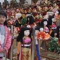 日本女兒節--人偶展