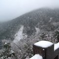 2011年1月16日太平山雪景 - 3