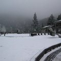 2011年1月16日太平山雪景 - 5