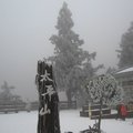 2011年1月16日太平山雪景 - 4