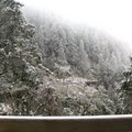 2011年1月16日太平山雪景 - 2