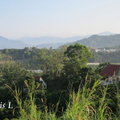 台南印月農莊 - 18
