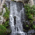 龍山寺瀑布