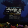 海洋台灣1