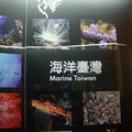 台灣博物館B1`1`2`3樓展覽只要20元還能看土銀展示館