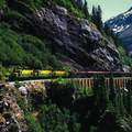 White pass train from internet
