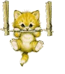Swing kitty