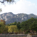 韓國行 - 皇宮