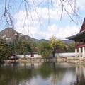 韓國行 皇宮