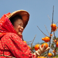 20101121新埔柿餅 - 1