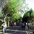 東豐綠色走廊騎單車 - 1