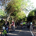 東豐綠色走廊騎單車 - 2