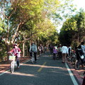 東豐綠色走廊騎單車