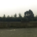 安瀾橋與金剛堤