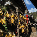 麗江/束河古鎮一坐一忘巷道