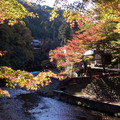 京都高雄神護寺外小溪