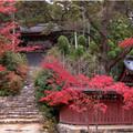 京都高雄神護寺山門