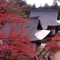 京都 高雄 神護寺