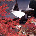 京都 高雄 神護寺