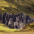 小巧秀氣的特殊岩石地質被稱作「天然盆景」，在高原中一撮一撮的出沒