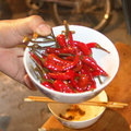 15.劉大娘的醃辣椒，很辣，跟我們的剝皮辣椒不同，因為他們有醃等於沒醃