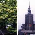 華沙路樹和科學文化宮
