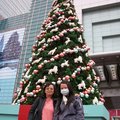 我、媽媽與聖誕樹