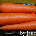 北海道胡蘿蔔