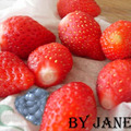 草莓麻糬_草莓