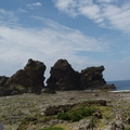 蘭嶼島上的雙獅岩