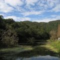 福山植物園生態池