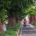 台東市比起台北好太多了，機慢車專用道，高大的路樹！只是這個小緩坡，對經歷九天踩踏的我們，以成酷刑！烏龜在爬，也不過如此！