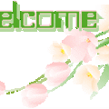 welcome - 16