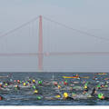 Swimmers plow through 56-degree water toward the Marina Green beach in San Francisco, a 1.5-mile swim