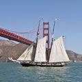 舊金山帆船節