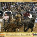 2009 Houston Livestock Show and Rodeo