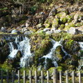 京極羊蹄湧水公園12