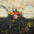 梵谷與弟弟西奧的墳墓