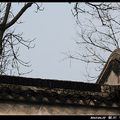 2012杭州蘇州上海行 - 3